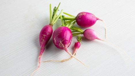 Lady slipper radish