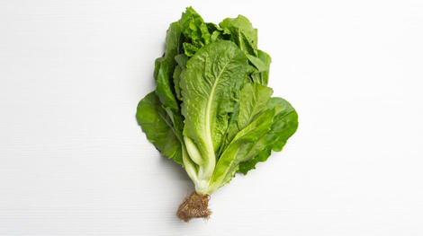 Lechuga del país 