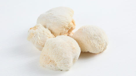 Setas Lion's Mane, 16oz