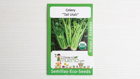 Semilla Celery