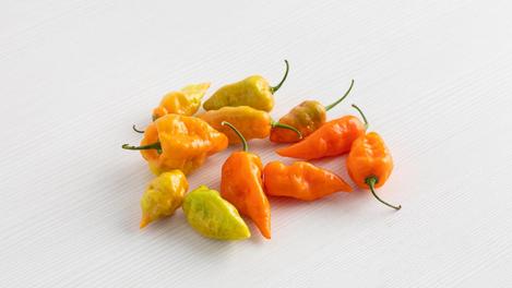 Pimiento dulce habanada