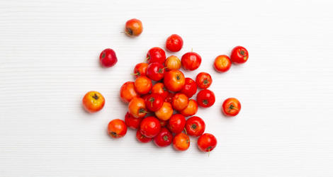 Acerola