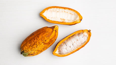 Cacao