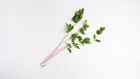 Celery Rosado