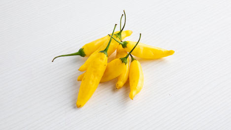 Lemon Drop pepper
