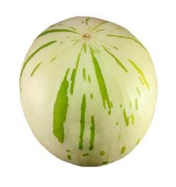 Melón Dino (Gaya)