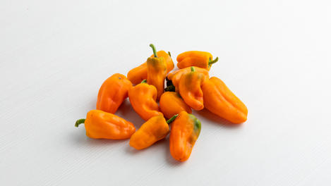 Pimiento Orange Glow