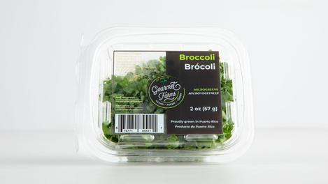 Broccoli microgreens (2 oz)