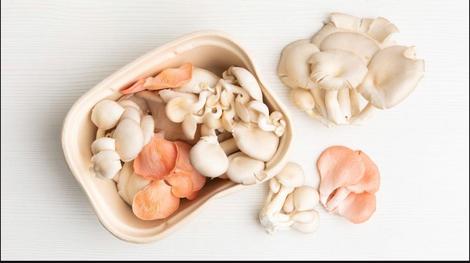 Setas oysters, 12 oz