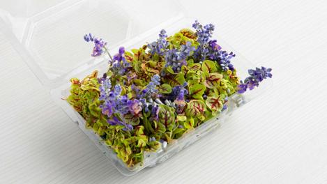 Flores comestibles de sorel