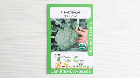 Semilla Brócoli