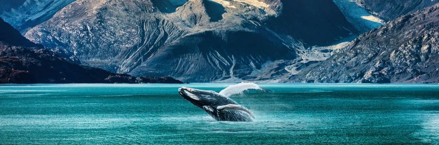 Travel Occupational Therapy Job in Bethel, AK