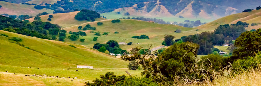 Travel Physical Therapy Job in Petaluma, CA