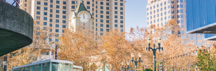 Travel RN – Home Health Travel Nurse Job in San Jose, CA