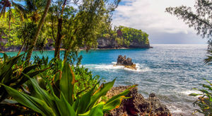 Registered Nurse - PACU/Pre-Post Op  in Hilo, HI