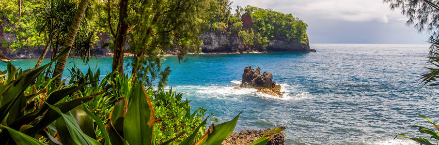 Travel RN – Interventional Radiology Travel Nurse Job in Hilo, HI