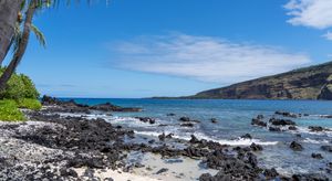 Registered Nurse - Med/Surg  in Kealakekua, HI