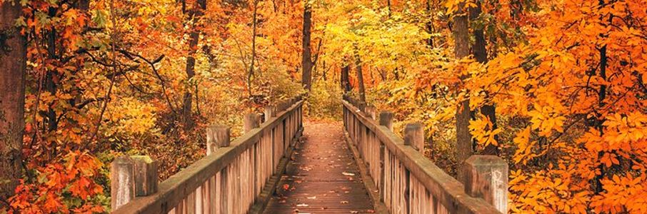 Travel RN – Inpatient Rehab Travel Nurse Job in Newburgh, IN