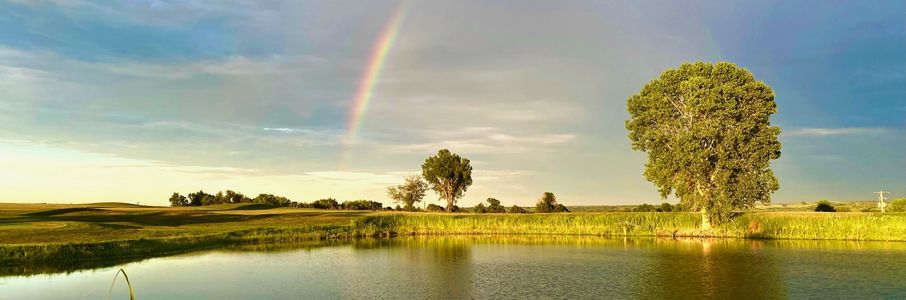 Travel Registered Respiratory Therapist Job in Lenexa, KS