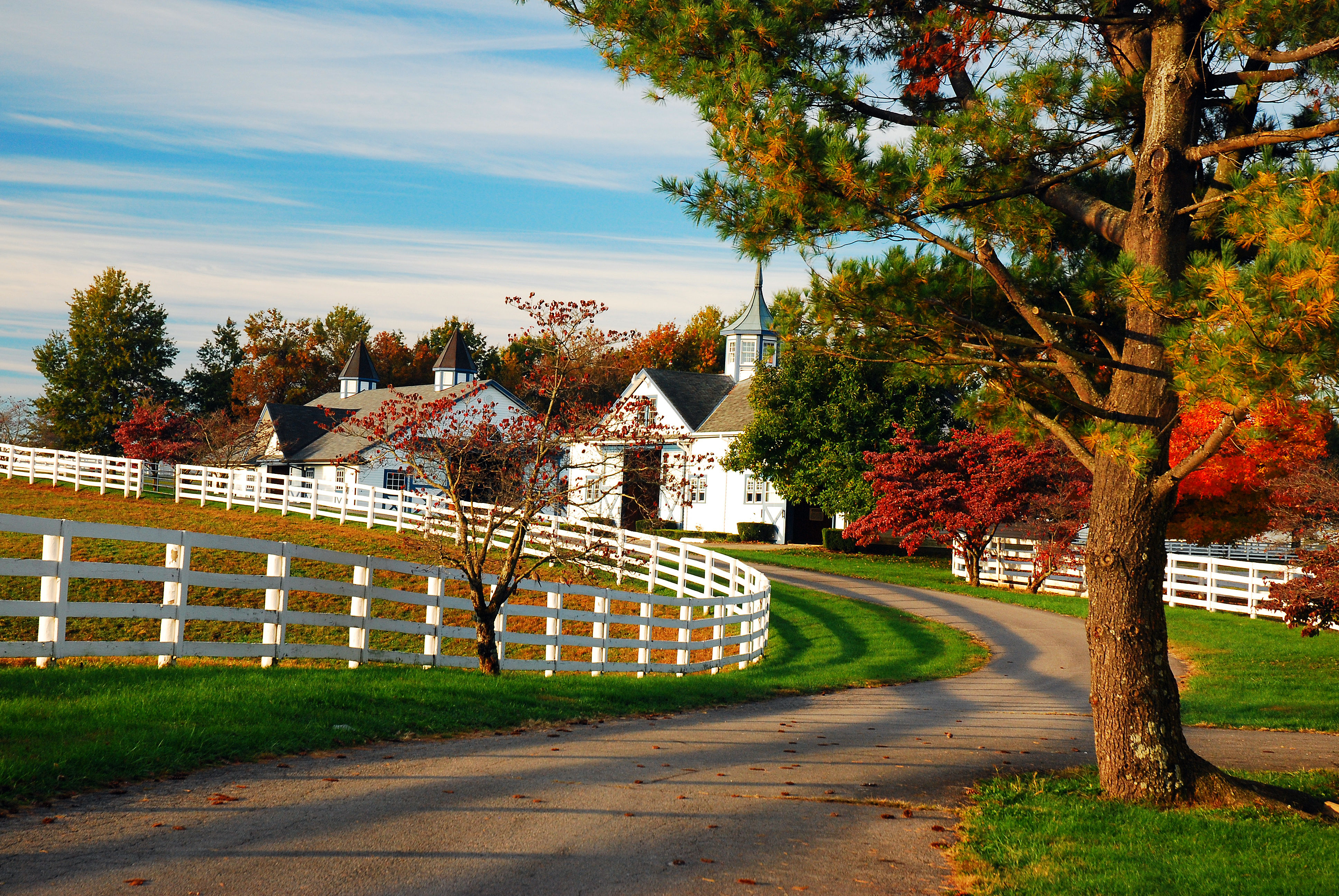 Job Card image of Lexington, KY