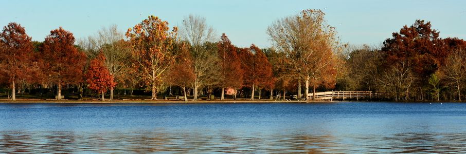 Travel Physical Therapy Job in Metairie, LA