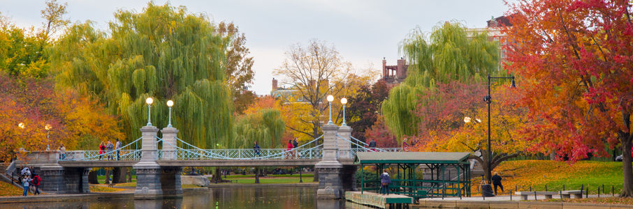 Travel Cath Lab Tech Job in Boston, MA