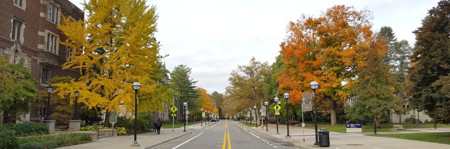 Travel RN – CVICU Travel Nurse Job in Ann Arbor, MI