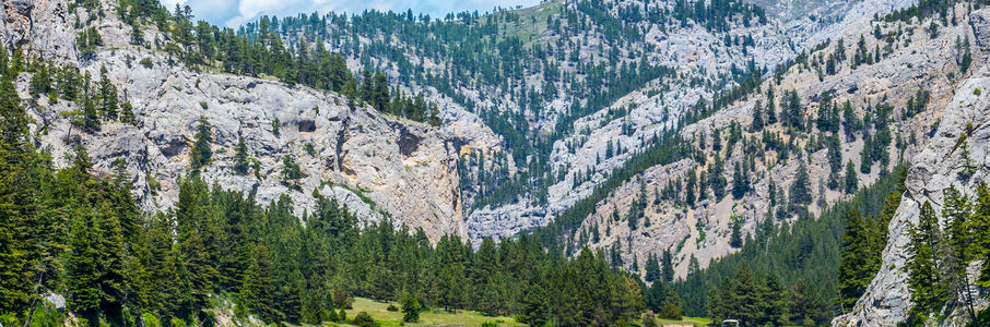 Travel Physical Therapy Job in Havre, MT