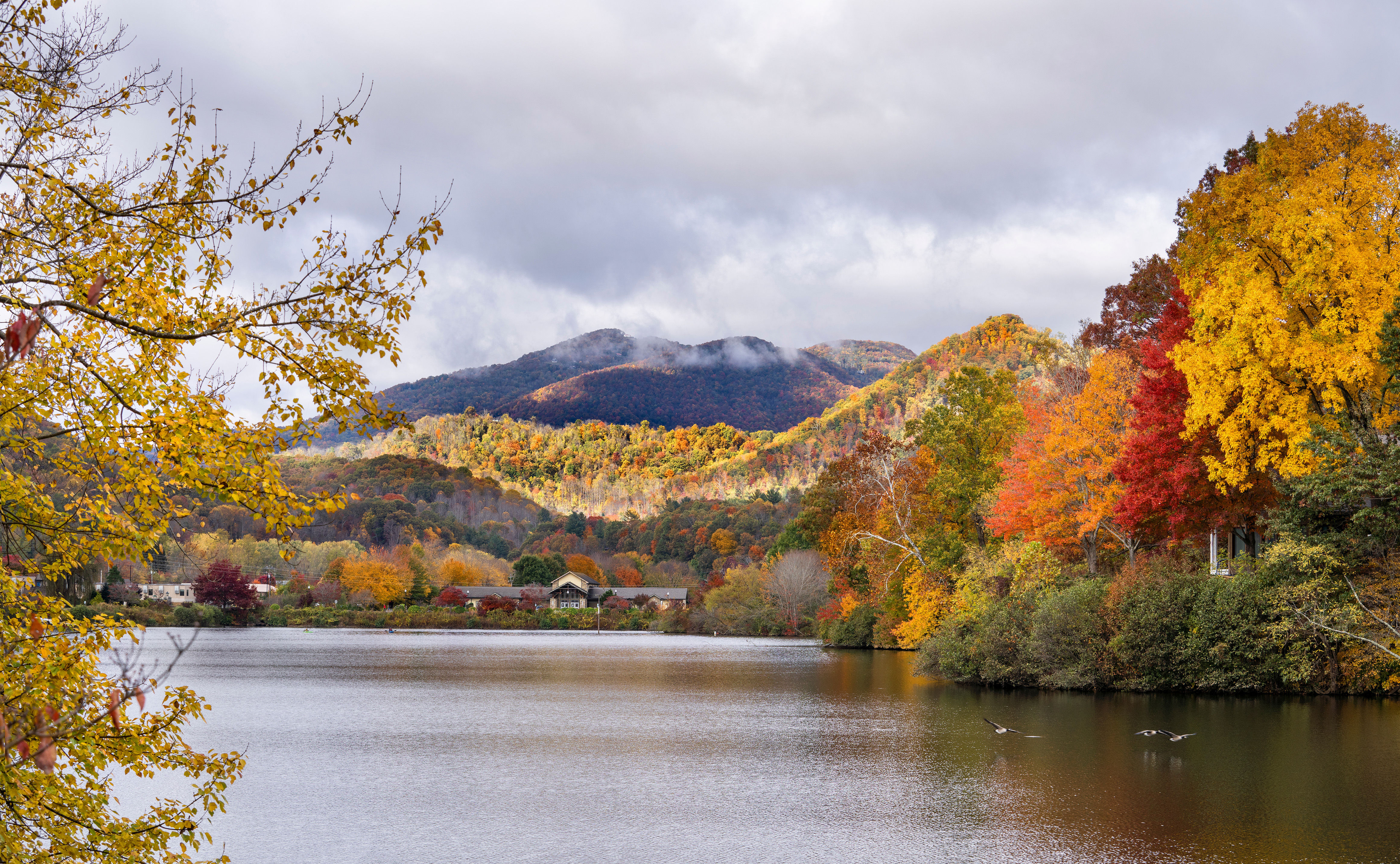 Job Card image of Asheville, NC