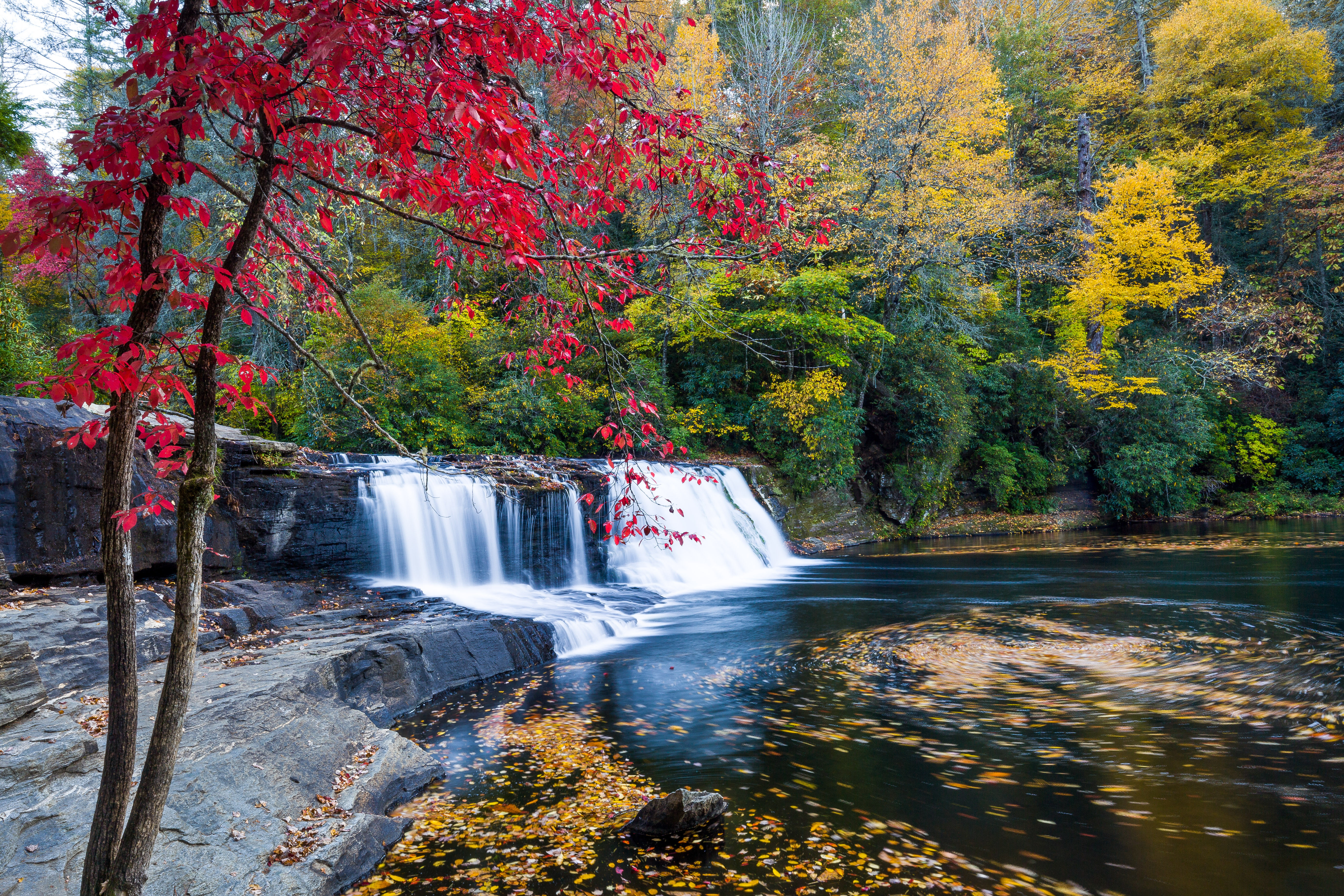 Job Card image of Asheville, NC