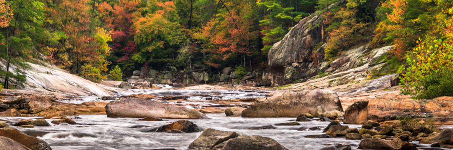 Travel Speech Language Pathologist Job in Wilson, NC