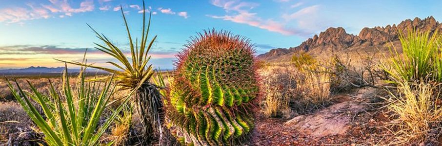 Travel Physical Therapy Job in Roswell, NM