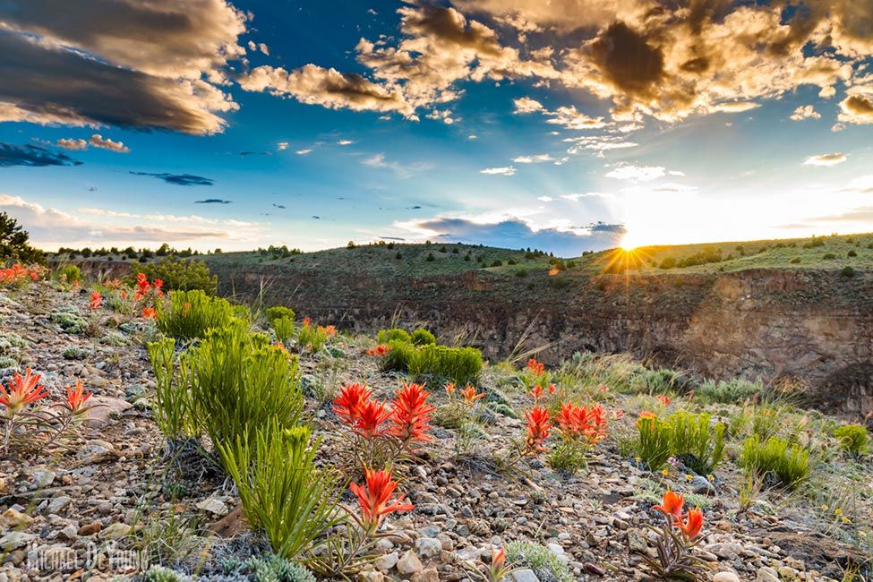 Job Card image of Farmington, NM