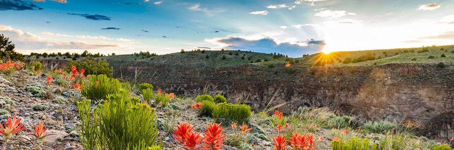Travel RN – Operating Room Travel Nurse Job in Socorro, NM