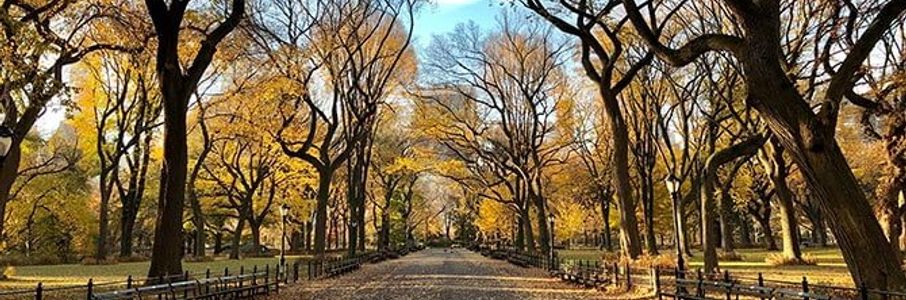 LPN LPN Travel Job in Troy, NY