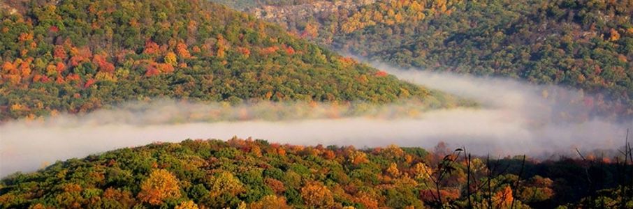 Travel RN – Endoscopy Travel Nurse Job in Rochester, NY