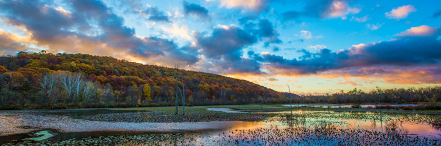 LPN LPN Travel Job in Coldwater, OH