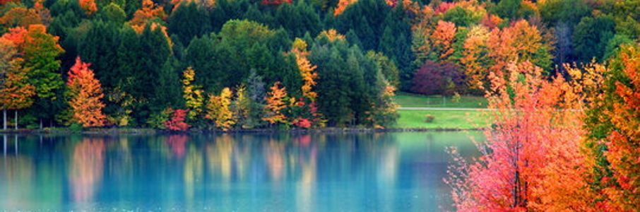 Travel RN – Operating Room Travel Nurse Job in York, PA