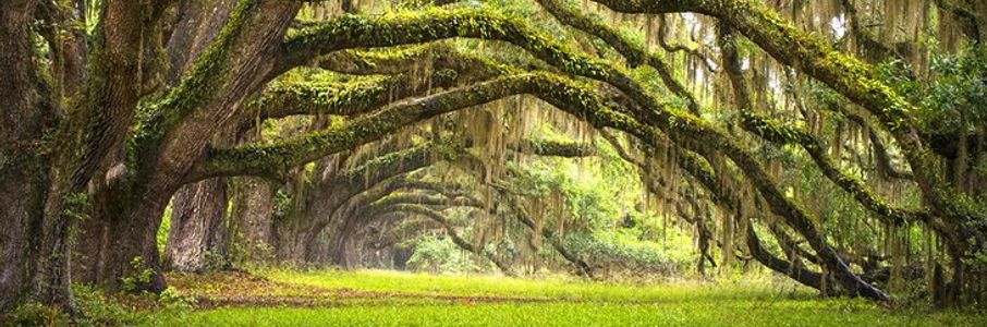 Travel RN – MedSurg/Tele Travel Nurse Job in Simpsonville, SC