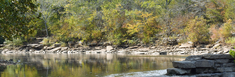 Travel RN – Telemetry Travel Nurse Job in Murfreesboro, TN