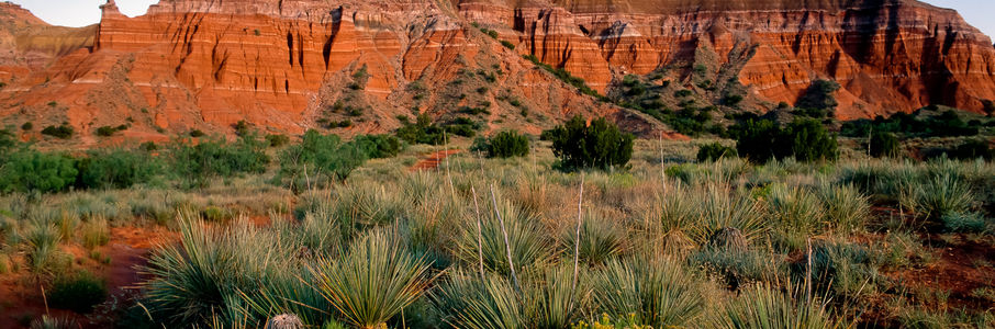 Travel RN – Cath Lab Travel Nurse Job in Amarillo, TX