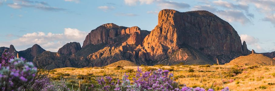 Travel Occupational Therapy Job in Marlin, TX