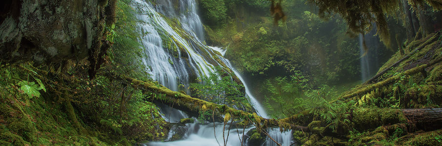 Travel RN – PCU Travel Nurse Job in Puyallup, WA