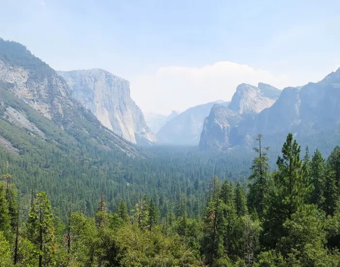 Yosemite National Park in California from a hiking view with mountains and plenty of pine trees.
