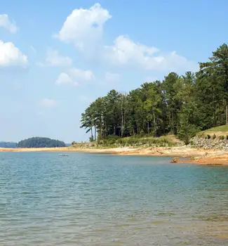 Lake Lanier Islands in Georgia with green blue waters between small land piles covered in green trees on a sunny day.