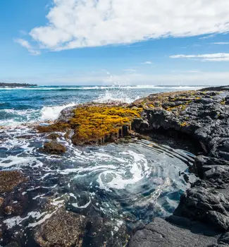 Small whirlpool forming in a cradle of rocks at Punalu'u Black Sand Beach, Hawaii.