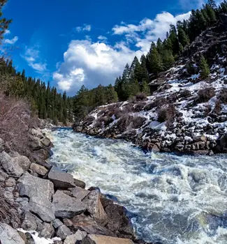 Payette River in an Idaho Canyon in winter with snow lined rocky terrain and green evergreen trees with white water river rapids streaming down.