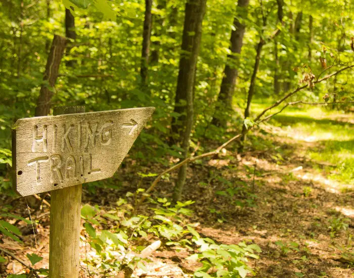 Wooden hiking trail carved sign on a post pointing into a forest pathway in Indiana.