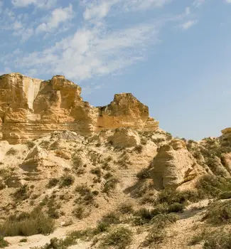 Sedimentary beige yellow canyons and dunes in Kansas with small tufts of dried grass scattered.