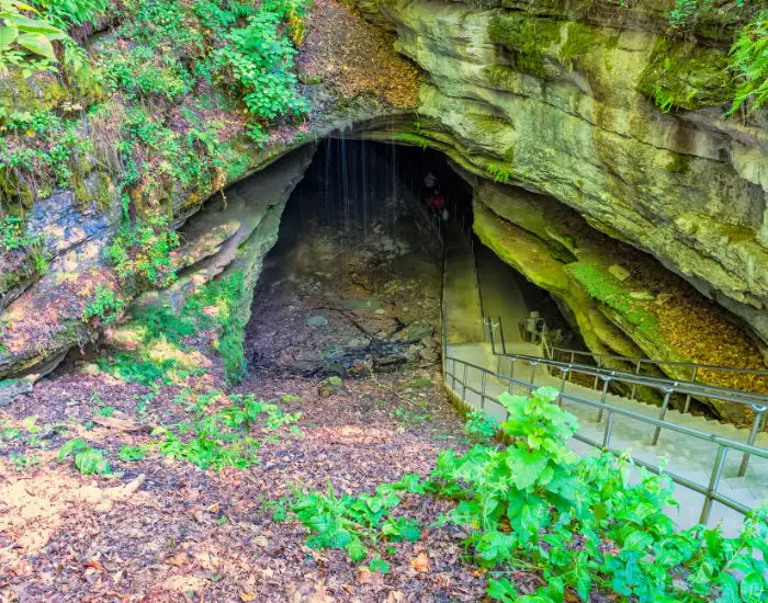 Concrete staircase with railings in the forest woods leading down into a small cave in Mammoth National Park, Kentucky with water dripping down.